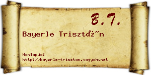 Bayerle Trisztán névjegykártya